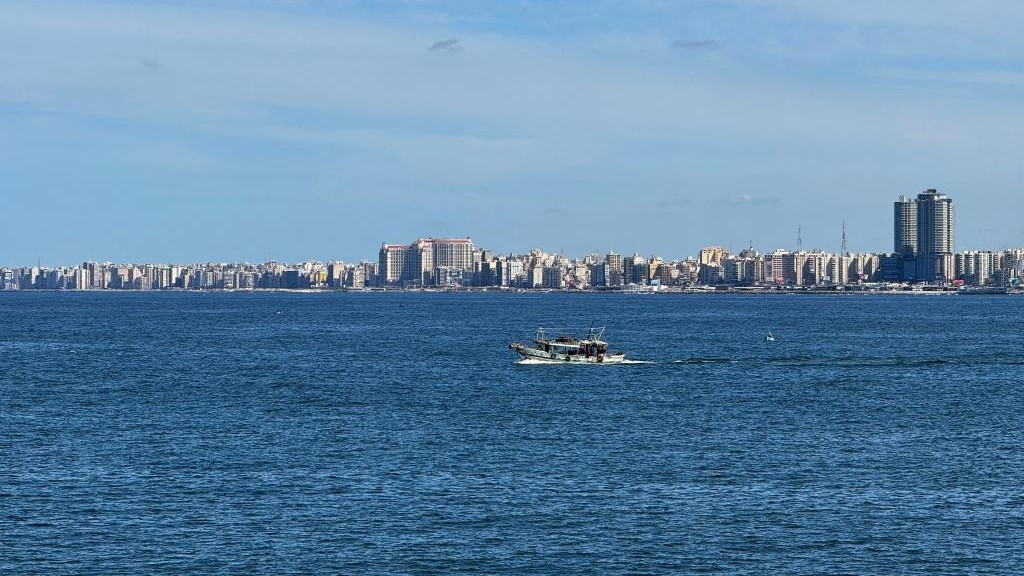 في مصر.. "جائزة شانغهاي" تقدم في الخارج لأول مرة